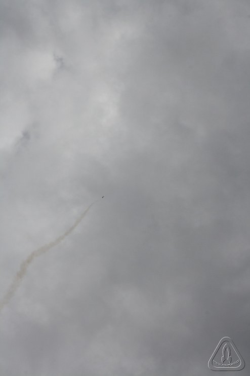 2013 Svojek Mirek Topinka